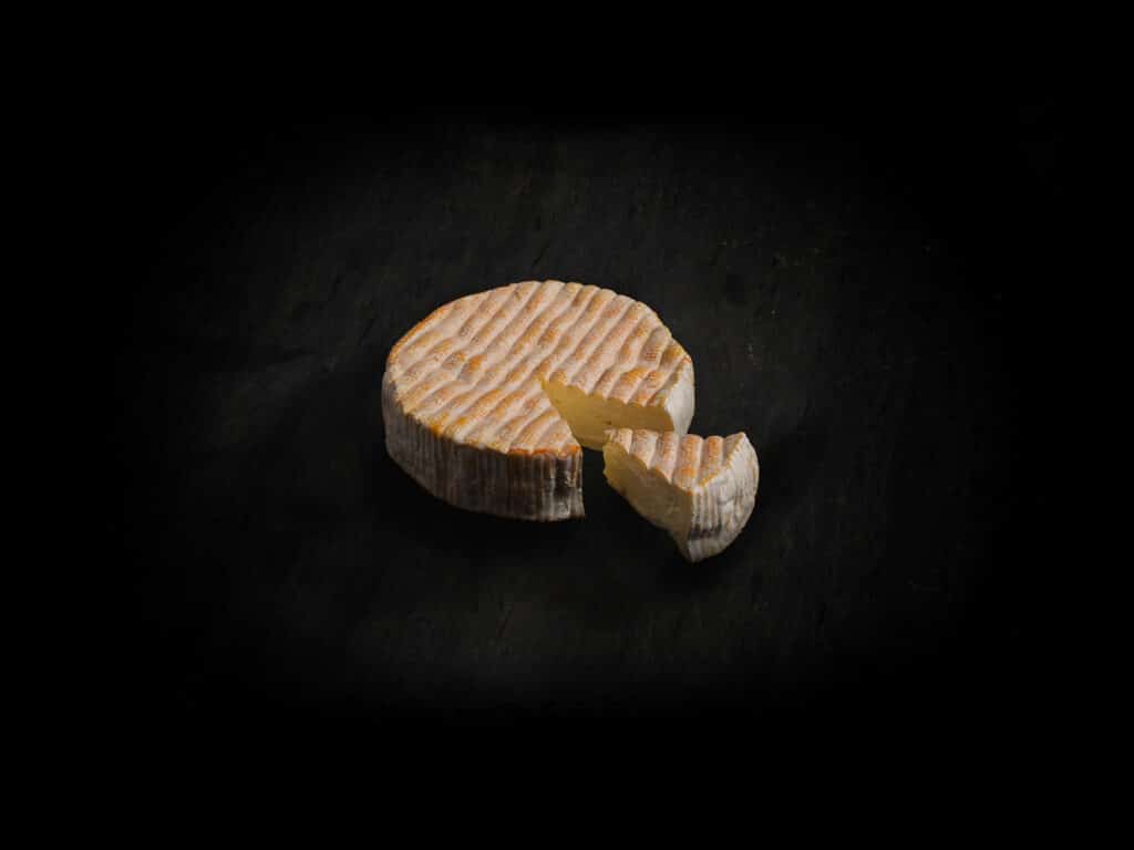 Photo of Montagnard Cheese